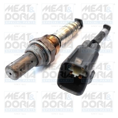 Oxygen Sensor